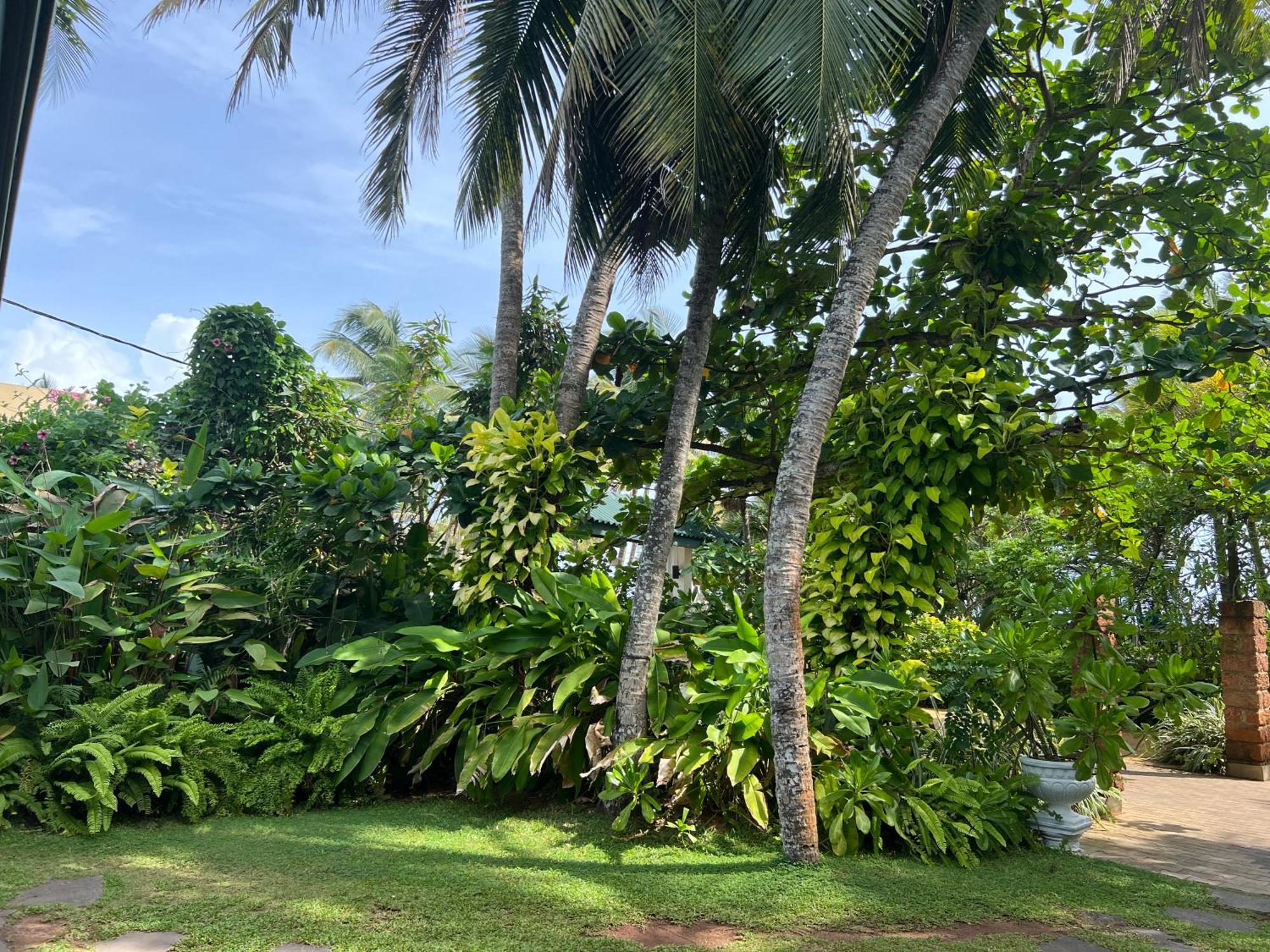 Lohas Beach Resort Villa Kalutara Exterior photo