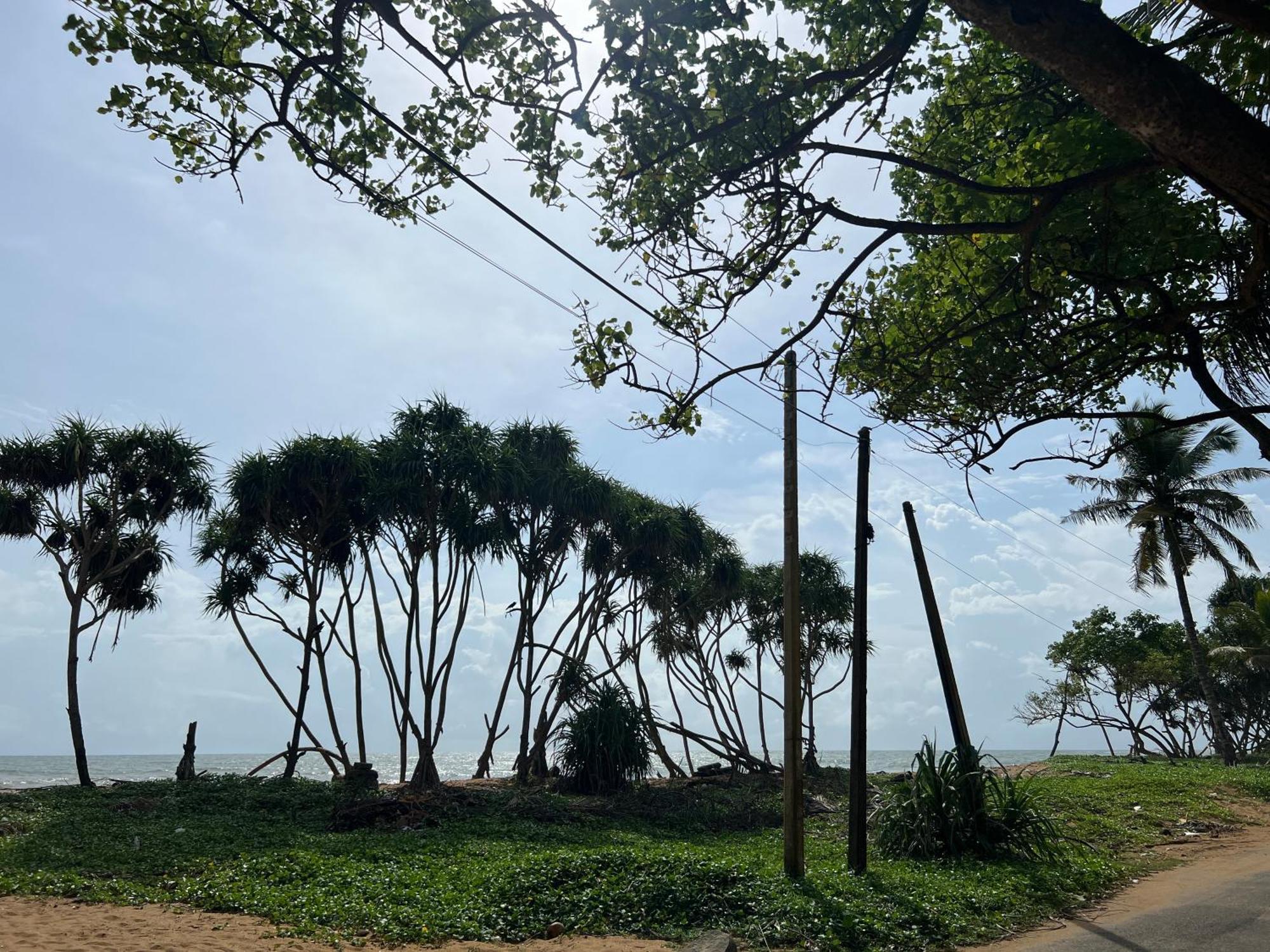 Lohas Beach Resort Villa Kalutara Exterior photo
