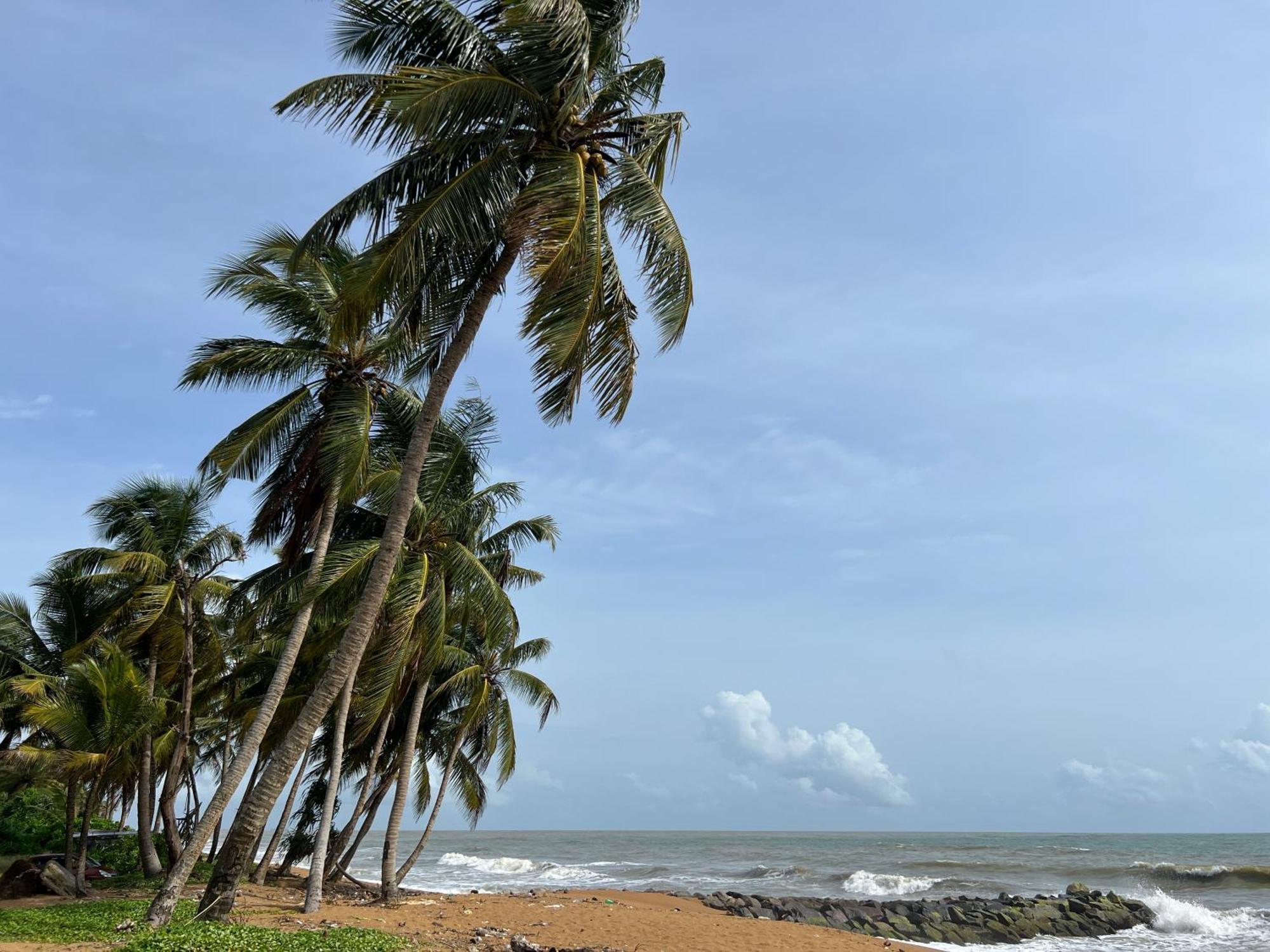 Lohas Beach Resort Villa Kalutara Exterior photo